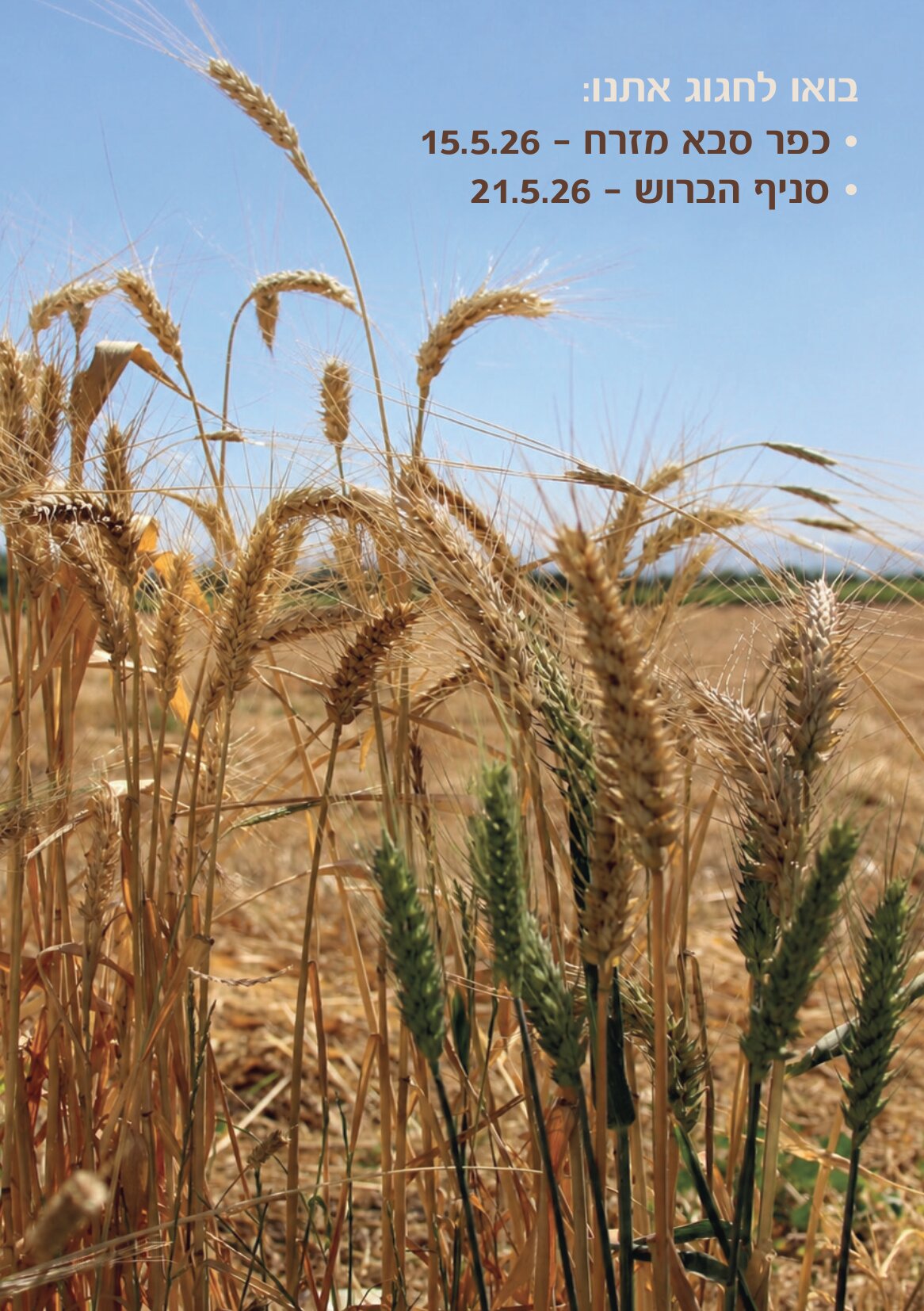 שבועות 2026